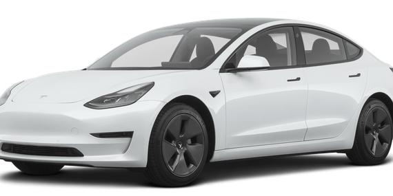 TESLA MODEL 3 2021 5YJ3E1EA8MF097297 image